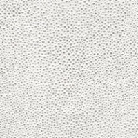 Platinum Shagreen