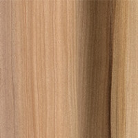 Brown Tulipwood