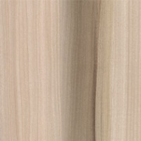 Natural Tulipwood