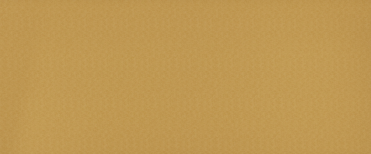  Resize