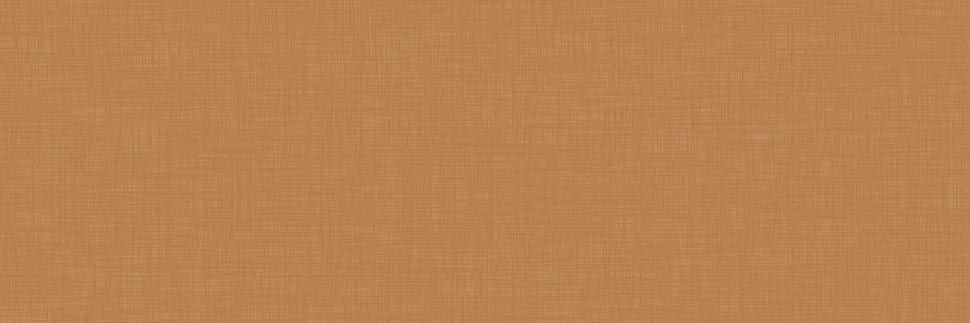 High Pressure Laminate New Penny Y0388