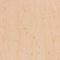 Limber Maple
