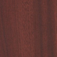 Mahogany Vision