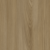 Acorn Velvet Elm