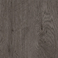 Mercer Oak