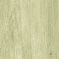 Native Maple