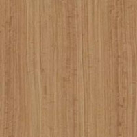 Amber Eucalyptus