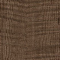 Plantation Sycamore