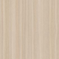American Chestnut