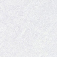 Grey Pampas