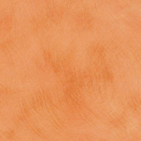 Karratha Brush
