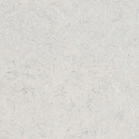 White Tigris