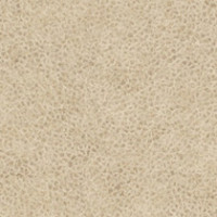 Western Suede