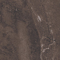 Bronzite