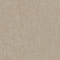 Wheat Tabby