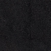 Black Knight Shagreen