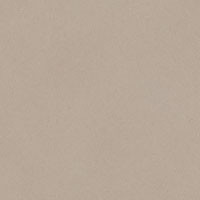 Paloma Grey Buffalo