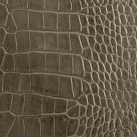 Antique Grey Crocodile