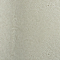 Grey Stone Shagreen