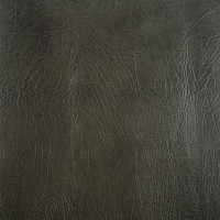 Umber Grey Buffalo