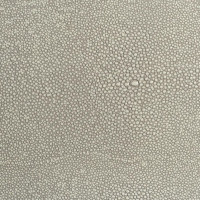 Coco Shagreen