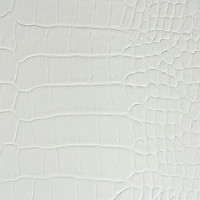 Bright White Crocodile