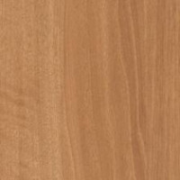 Brazilwood