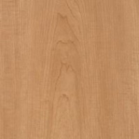 Harvest Maple