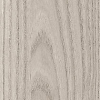 Grey Elm