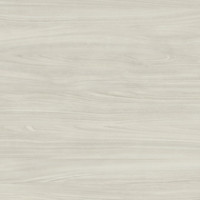 Ivory Birch