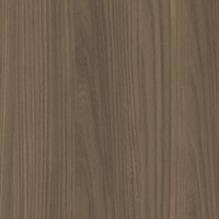 Valley Forge Elm