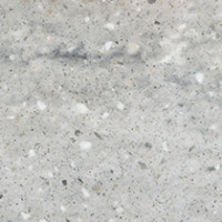 Grey  Beola