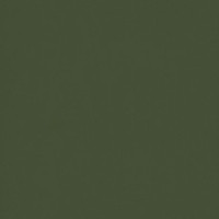 Fern Green