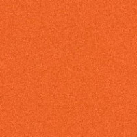 Citrus Orange