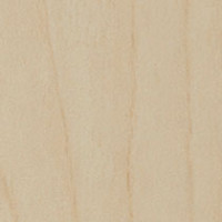 Northern Maple