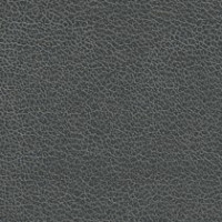 Charcoal Chamois