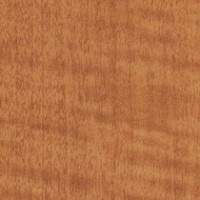 Cognac Curly Anigre