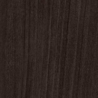 Noir American Elm
