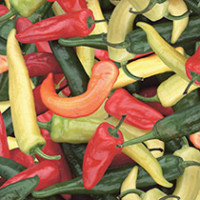 Peppers