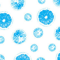 Frozen Zest