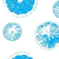 Frozen Zest