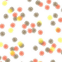 Autumn Lights Daisy