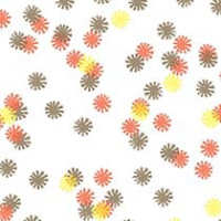 Autumn Lights Daisy
