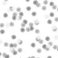 Ice Daisy