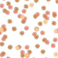 Apricot Glow Daisy