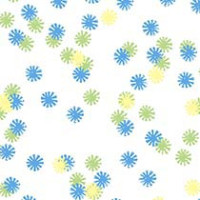 Laminate - Field Daisy - Y0076