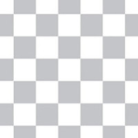 Checkered Slacks