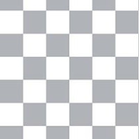 Checkered Slacks