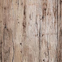 Beach Antique Wood