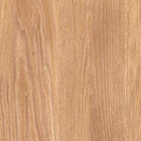 Apricot Alona